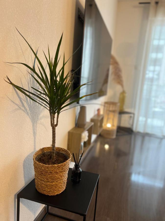 Appartement T2 Cosy Ajaccio à Ajaccio  Extérieur photo