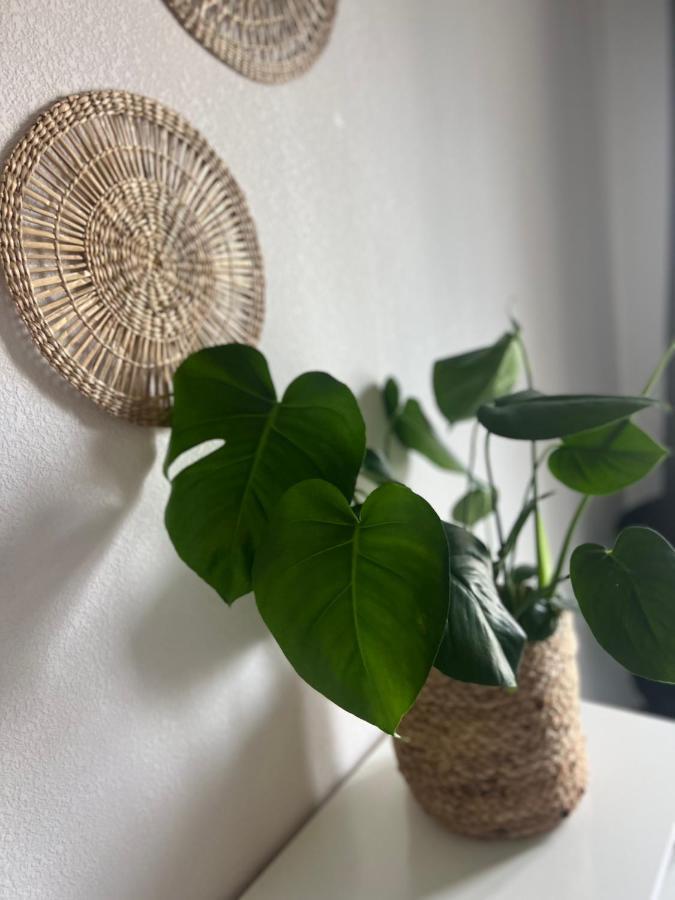 Appartement T2 Cosy Ajaccio à Ajaccio  Extérieur photo